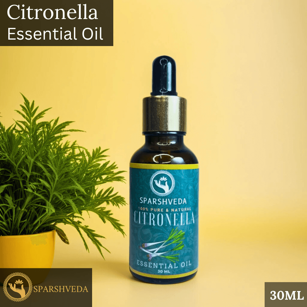 citronella essential oil, citronella oil, insect repellent, mosquito repellent, bug repellent, aromatherapy, diffuser, outdoor, natural insect repellent, best citronella oil, pure citronella oil, organic citronella oil (if applicable), citronella diffuser blends, citronella bug spray, citronella mosquito spray, citronella oil for skin (diluted), citronella oil benefits, buy citronella oil, citronella oil for candles, citronella oil for torches, natural bug repellent, outdoor essential oil, summer essential oil, camping essential oil, picnic essential oil, citronella oil uses, dilute citronella oil, carrier oil, external use only