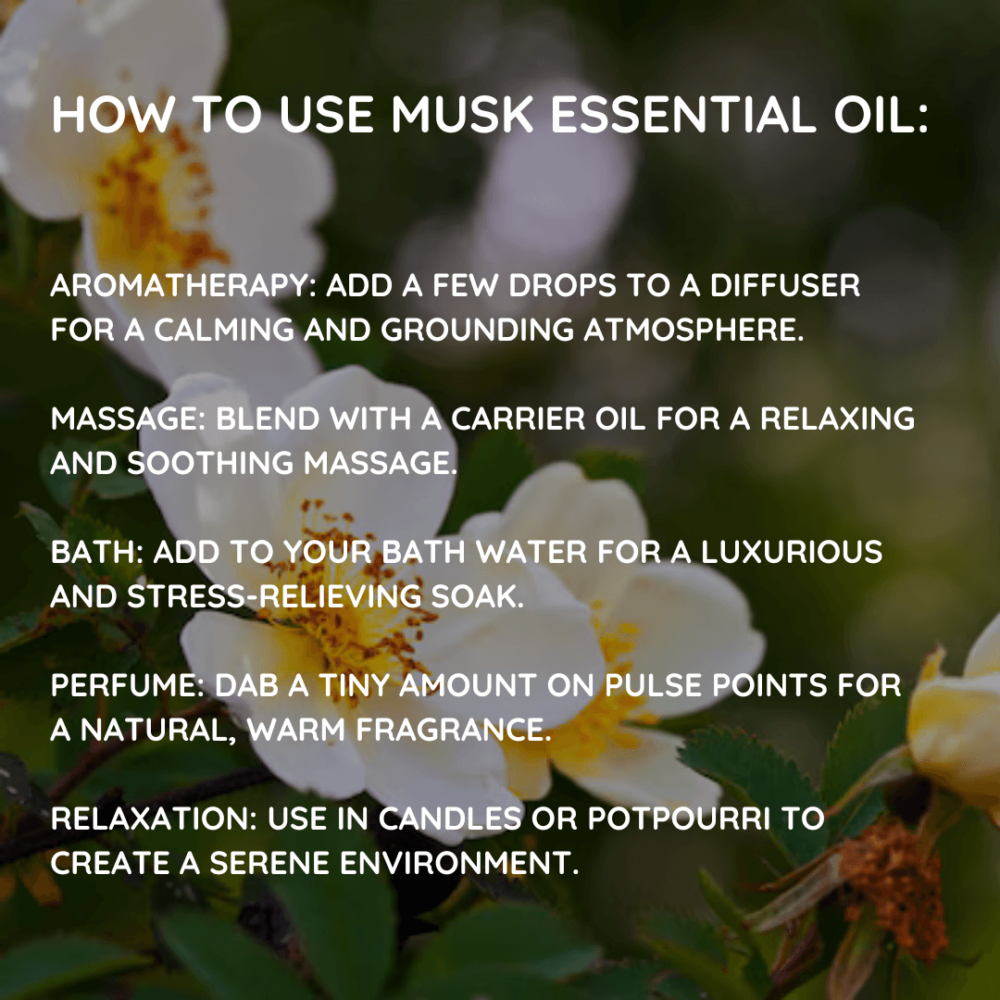 musk essential oil, musk oil, musk aromatherapy, musk fragrance, musk scent, musk perfume, musk diffuser, musk massage, musk bath, musk skin care (diluted), musk hair care (diluted), musk benefits, musk uses, musk aroma, musk blend, musk absolute, musk oil blend, musk fragrance oil, musk perfume oil, musk diffuser blend, musk massage oil, musk bath oil, musk skin oil (diluted), musk hair oil (diluted), pure musk oil, natural musk oil, buy musk oil, musk oil online, musk essential oil benefits, musk essential oil uses, musk fragrance, musk scent, musk aroma, musk blend, musk absolute, musk oil blend, musk fragrance oil, musk perfume oil, musk diffuser blend, musk massage oil, musk bath oil, musk skin oil (diluted), musk hair oil (diluted), dilute musk oil, carrier oil, external use only, musk essential oil blend, musk oil blend, musk fragrance oil blend, musk perfume oil blend, musk essential oil uses, musk oil uses, musk fragrance oil uses, musk perfume oil uses