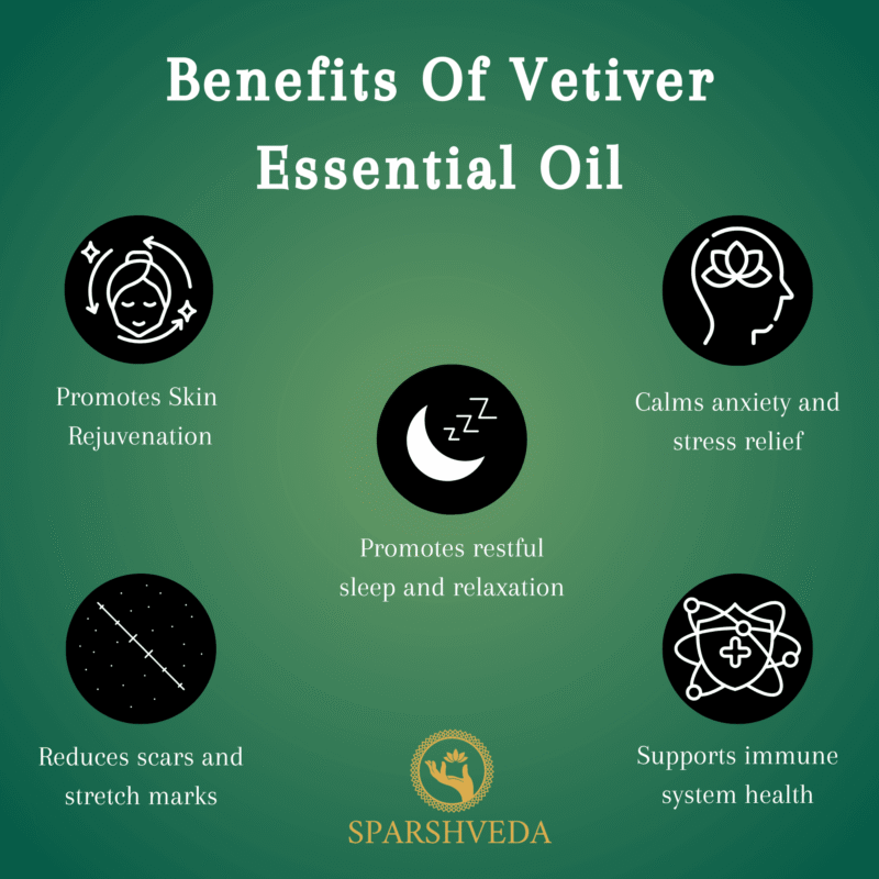 vetiver essential oil, vetiver oil, vetiver aromatherapy, vetiver fragrance, vetiver scent, vetiver perfume, vetiver diffuser, vetiver massage, vetiver bath, vetiver skin care, vetiver hair care, vetiver benefits, vetiver uses, vetiver aroma, vetiver blend, vetiver root, vetiver oil benefits, vetiver oil uses, vetiver oil for skin, vetiver oil for hair, vetiver oil for diffuser, vetiver oil for grounding, vetiver oil for relaxation, vetiver oil for sleep, vetiver oil for anxiety, vetiver oil blend, dilute vetiver oil,