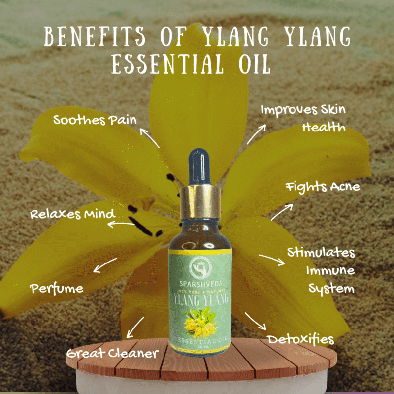 lang ylang essential oil, ylang ylang oil, ylang ylang aromatherapy, ylang ylang fragrance, ylang ylang scent, ylang ylang perfume, ylang ylang diffuser, ylang ylang massage, ylang ylang bath, ylang ylang skin care, ylang ylang hair care, ylang ylang benefits, ylang ylang uses, ylang ylang aroma, ylang ylang blend, ylang ylang complete, ylang ylang extra, ylang ylang oil benefits, ylang ylang oil uses, ylang ylang oil for skin, ylang ylang oil for hair, ylang ylang oil for diffuser, ylang ylang oil for relaxation, ylang ylang oil for mood, ylang ylang oil for sleep, ylang ylang oil for sensual, ylang ylang oil blend, dilute ylang ylang oil,