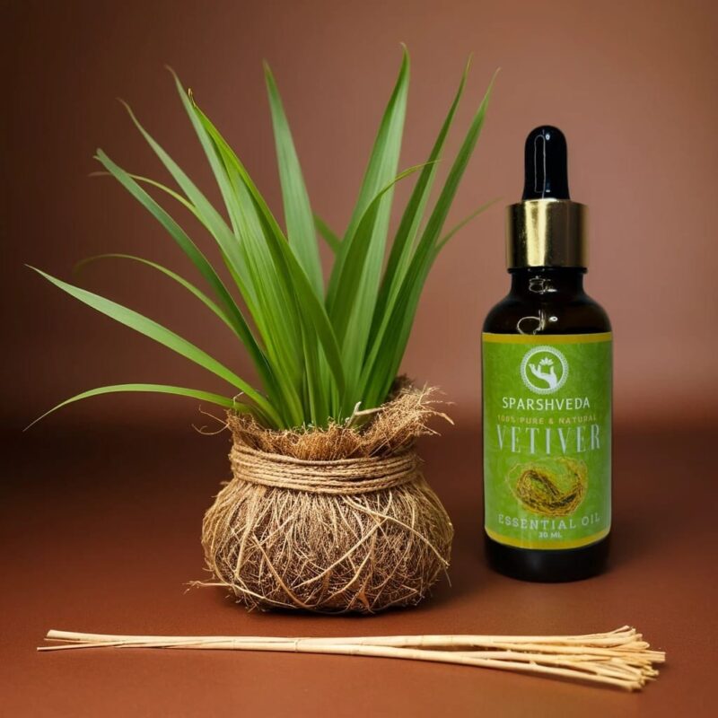 vetiver essential oil, vetiver oil, vetiver aromatherapy, vetiver fragrance, vetiver scent, vetiver perfume, vetiver diffuser, vetiver massage, vetiver bath, vetiver skin care, vetiver hair care, vetiver benefits, vetiver uses, vetiver aroma, vetiver blend, vetiver root, vetiver oil benefits, vetiver oil uses, vetiver oil for skin, vetiver oil for hair, vetiver oil for diffuser, vetiver oil for grounding, vetiver oil for relaxation, vetiver oil for sleep, vetiver oil for anxiety, vetiver oil blend, dilute vetiver oil,