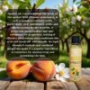 Apricot oil, cold-pressed apricot oil, natural apricot oil, skin care oil, hair care oil, vitamin E oil, antioxidant oil, moisturizing oil, best apricot oil, buy apricot oil, pure apricot oil, apricot oil benefits, apricot oil for skin, apricot oil for hair, Sparshveda Apricot Oil