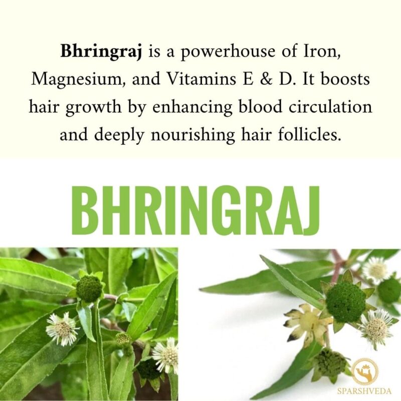 Bhringraj oil, cold-pressed oil, natural hair growth, hair nourishment, scalp treatment, hair fall reduction, dandruff control, premature graying prevention, hair strength, herbal oil, Ayurveda, hair health, deep conditioning, hair rejuvenation, scalp health, antioxidant-rich, pure bhringraj oil, organic, hair shine, natural hair care.