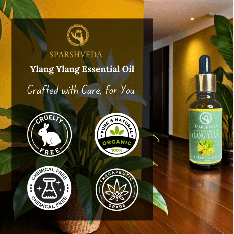 lang ylang essential oil, ylang ylang oil, ylang ylang aromatherapy, ylang ylang fragrance, ylang ylang scent, ylang ylang perfume, ylang ylang diffuser, ylang ylang massage, ylang ylang bath, ylang ylang skin care, ylang ylang hair care, ylang ylang benefits, ylang ylang uses, ylang ylang aroma, ylang ylang blend, ylang ylang complete, ylang ylang extra, ylang ylang oil benefits, ylang ylang oil uses, ylang ylang oil for skin, ylang ylang oil for hair, ylang ylang oil for diffuser, ylang ylang oil for relaxation, ylang ylang oil for mood, ylang ylang oil for sleep, ylang ylang oil for sensual, ylang ylang oil blend, dilute ylang ylang oil,