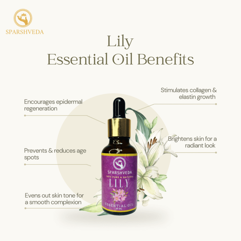 lily essential oil benefits," "lily essential oil uses," "lily oil for skin," "lily oil aromatherapy," "lily oil diffuser," "lily oil for hair," "lily oil stress relief," "lily oil relaxation," "lily oil skincare," and "lily oil massage.