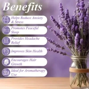 sparshveda lavender oil