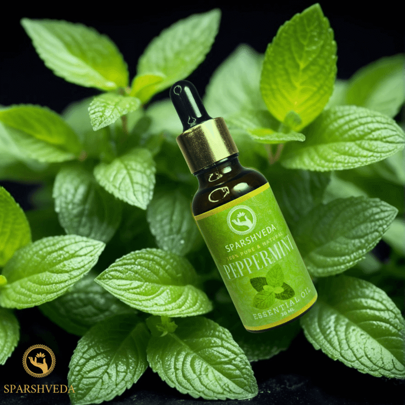 "peppermint essential oil benefits," "peppermint essential oil uses," "peppermint oil for skin," "peppermint oil aromatherapy," "peppermint oil diffuser," "peppermint oil for hair," "peppermint oil stress relief," "peppermint oil relaxation," "peppermint oil skincare," and "peppermint oil massage.